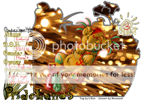 User Image